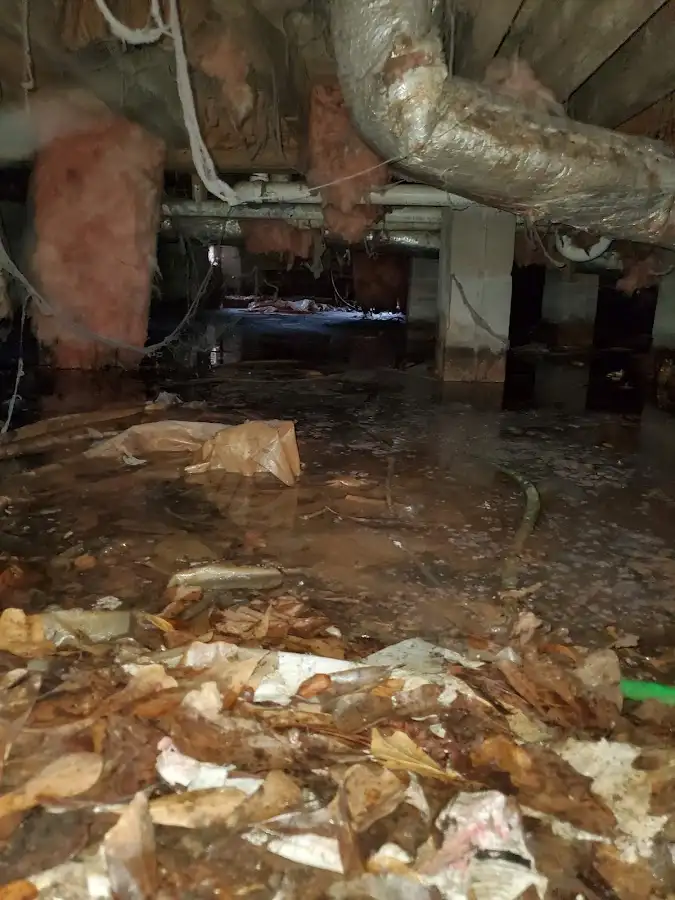 Crawl space flood assessment for Commercial Water Damage Restoration in Woolwich